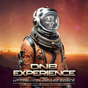 dnb experience 10062023