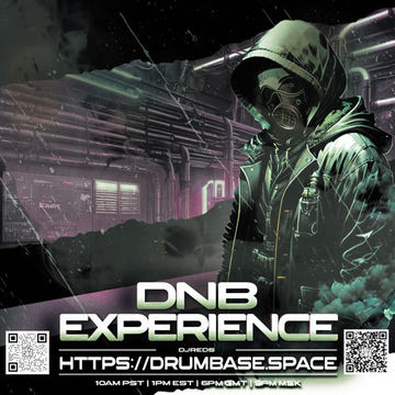 dnb experience 02032024