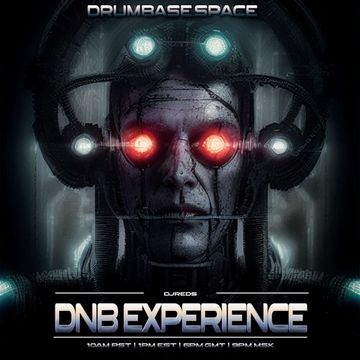 dnb experience 27052023