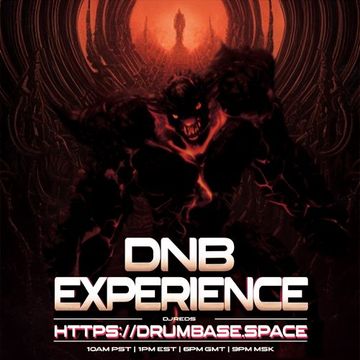 dnb experience 24062023