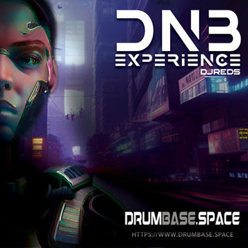 dnb experience 19/11/2022