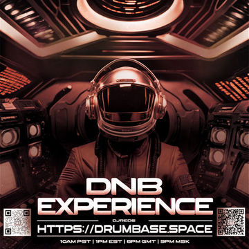 dnb experience 14102023