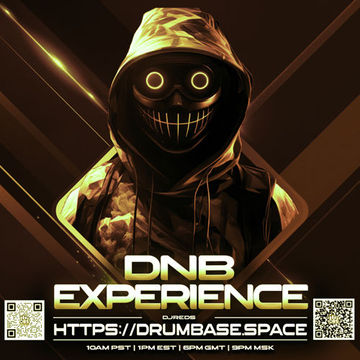 dnb experience 27042024