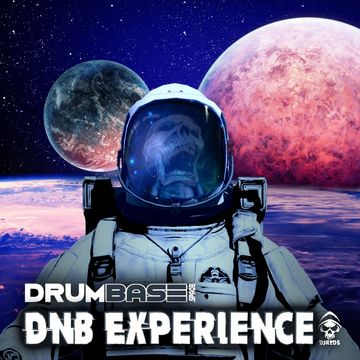 dnb experience 19 02 2022