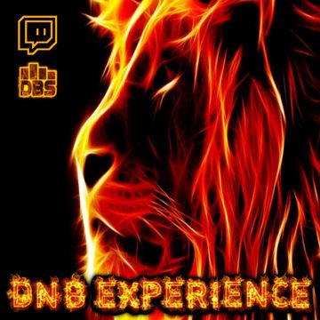 dnb experience 07/08/2021