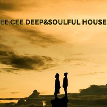 DJ GEE CEE DEEP&SOULFUL HOUSE MIX