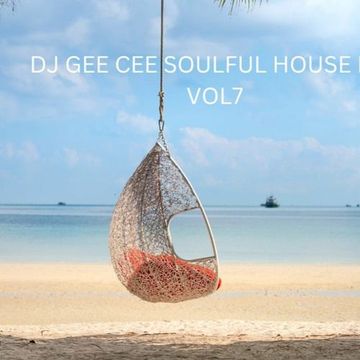 SOULFUL HOUSE MIX VOL 7