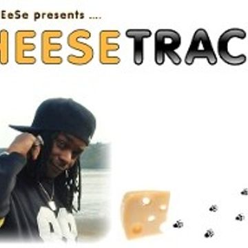 Mr DJ ChEeSe