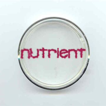 Nutrient