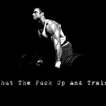 Shut The Fuck Up And Train