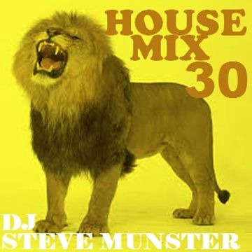 House Mix 30