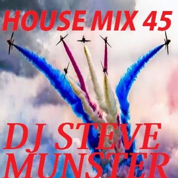 House Mix 45