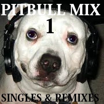 Pitbull Mix Part 1 (singles and remixes)