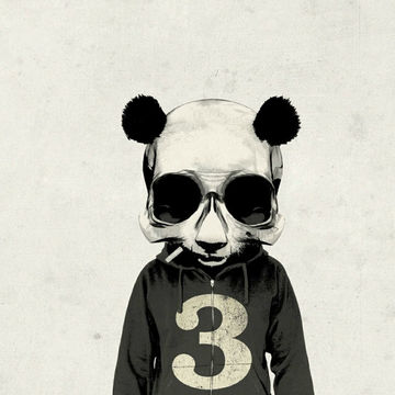 Picture Me Rollin'...