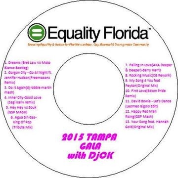 2015 Tampa Equality Gala with DjCK