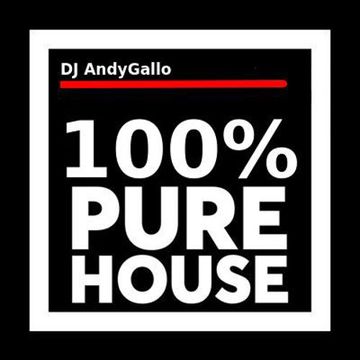 100% PURE HOUSE by Andy 'gallo' Ventarola