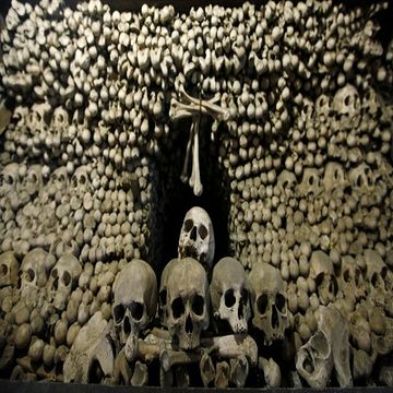 Mass Graves