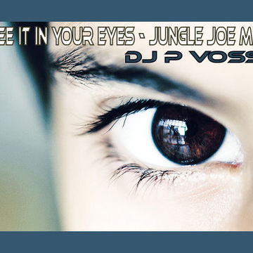 i see it in your eyes   JUNGLE JOE MIX