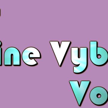 Usmans Bassline Vybez volume 23