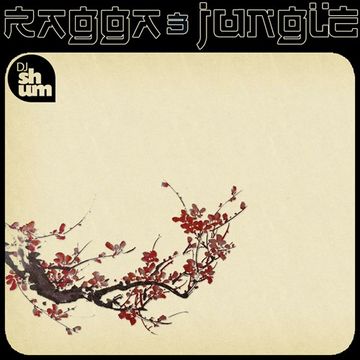 DJ Shum - Ragga Jungle 3