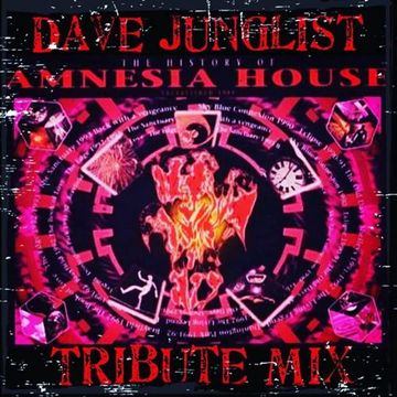 The History Of Amnesia House Tribute Mix