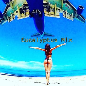 Dj Brasco Eucalyptus Mix  2015