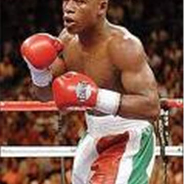 hcxboxer
