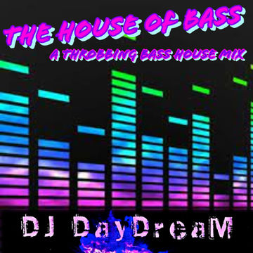 The House of Bass   A Throbbing Bass House Mix