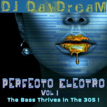 Perfecto Electro Vol I - The Bass Thrives in the 305