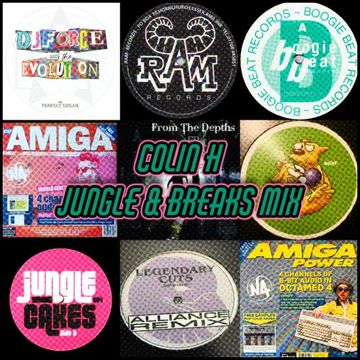Jungle & Breaks Vinyl Mini Mix   March 2023