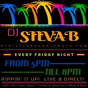 DJ SILVA B   LIVE STRICTLY RAGGA JUNGLE RADIO 19 07 2019