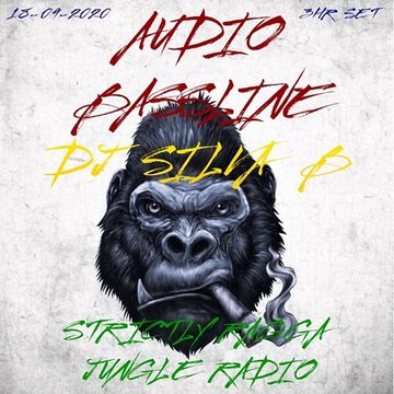 DJ SILVA B LIVE SRJR 3 HOUR SET   AUDIO BASSLINE 18 09 2020