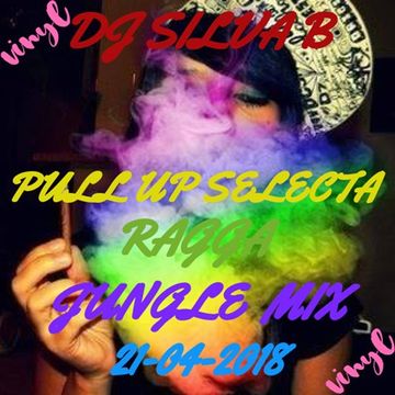 DJ SILVA B   PULL UP SELECTA RAGGA JUNGLE VINYL MIX 21 04 2018