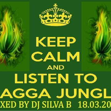 DJ SILVA B KEEP CALM LISTEN TO RAGGA JUNGLE 18 03 2014