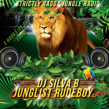 DJ SILVA B   JUNGLIST RUDEBOY LIVE RADIO MIX @SRJR 17 03 2023