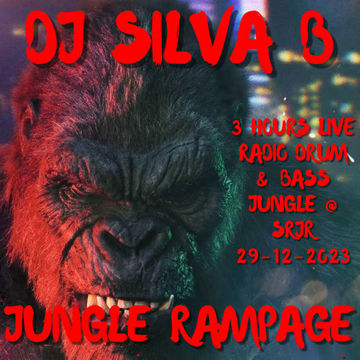 JUNGLE RAMPAGE 29 12 2023 - DJ SILVA B   LIVE @ SRJR