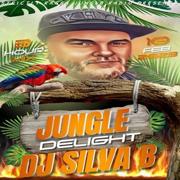 JUNGLE DELIGHT LIVE 3HR DJ SILVA B MIX 10 FEB 2023