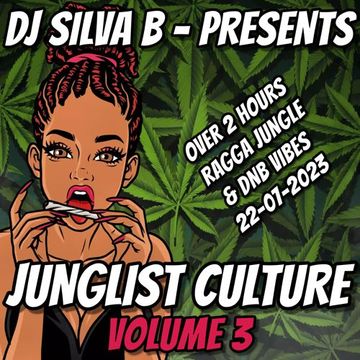 DJ SILVA B   JUNGLE CULTURE VOLUME 3 22 07 2023   OVER 2 HOURS RAGGA JUNGLE & DNB VIBES