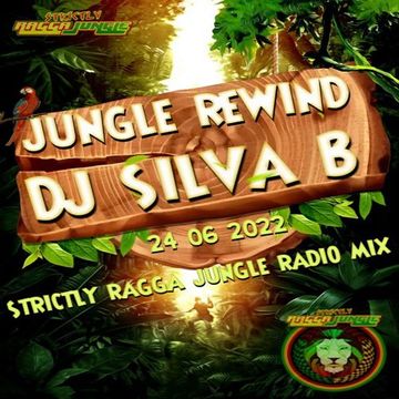 JUNGLE REWIND   DJ SILVA B LIVE @SRJR 24 06 2022