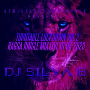 TURNTABLE LOCKDOWN VOL2 RAGGA JUNGLE VINYL MIX LIVE   DJ SILVA B 1 05 2020