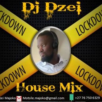 Dj Dzei   Lockdown House Mix