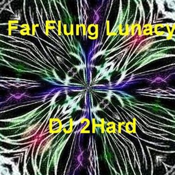 DJ 2Hard   Far Flung Lunacy