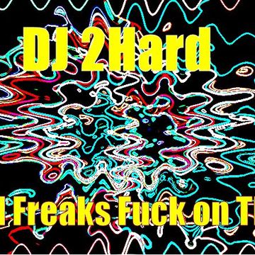 DJ 2Hard   Acid Freaks Fuck On This!