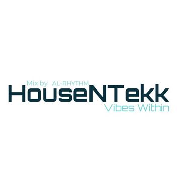 HouseNTekk-Vibes Within