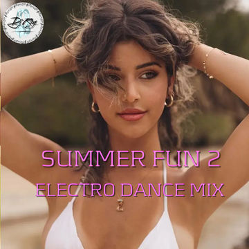 2022 Dj Roy Summer Fun 2   Electro Dance Mix