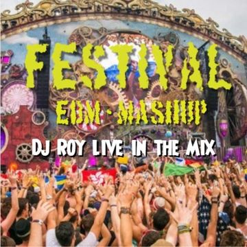 2017 Dj Roy Festival Edm   Mashup