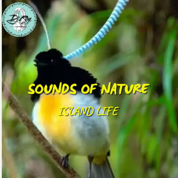 2024 Dj Roy Sounds Of Nature **  Island Life