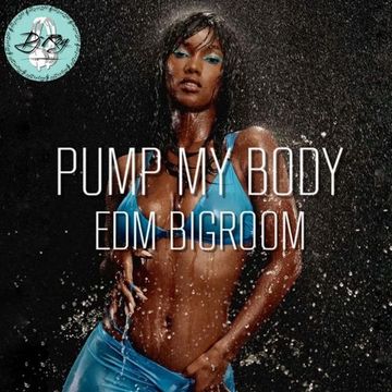 2023 Dj Roy Pump My Body * Bigroom