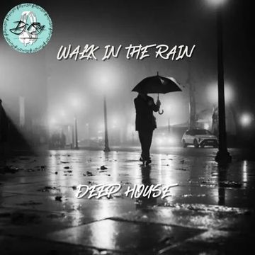 2024 Dj Roy Walk In The Rain ** Deep House