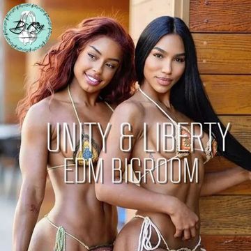 2023 Dj Roy Unity & Liberty * BigRoom Festival